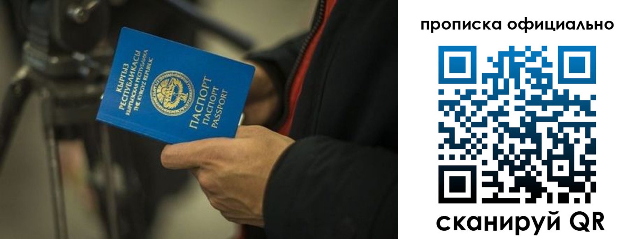 прописка в Бородино